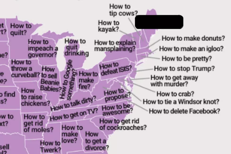 What 'How to' Maine Googles