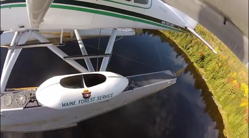Watch the Maine Forest Service Dump Fish Out of a Plane