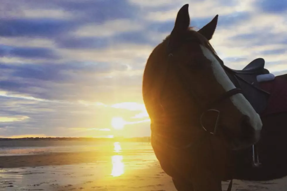 Take Your Date on a Magical Horseback Ride at Maine’s Beaches This Winter