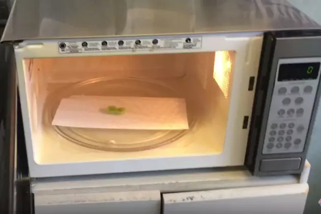 Watch What Happens When Lori Zaps a Grape in the Microwave at Work  [VIDEO]