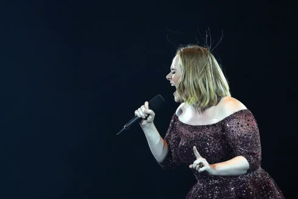 Adele Stops Her Show to Scold Security for Telling Fans to Sit Down