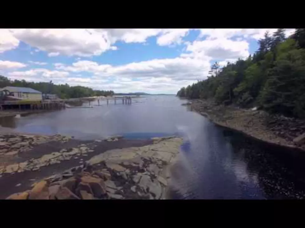 Spring in Maine Will Soon Look Like This Again [VIDEO]