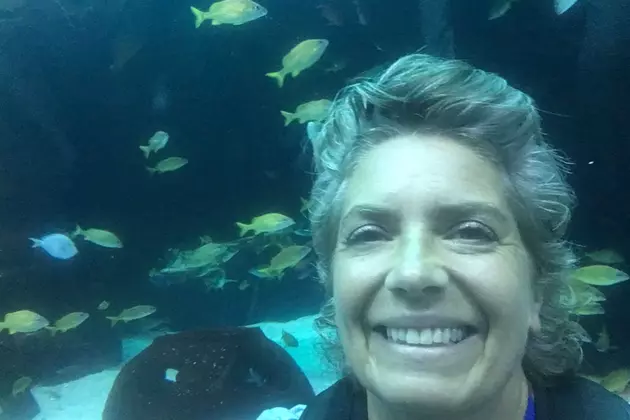 The Georgia Aquarium is Amazing!  [VIDEO]