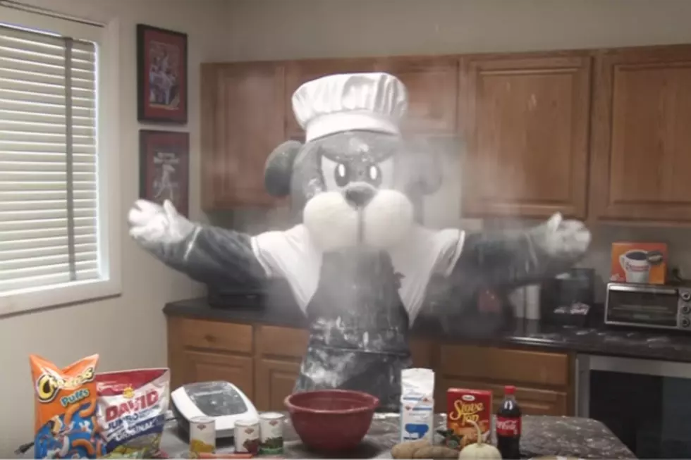 Slugger The Sea Dog Attempts To Make Thanksgiving Dinner [VIDEO]