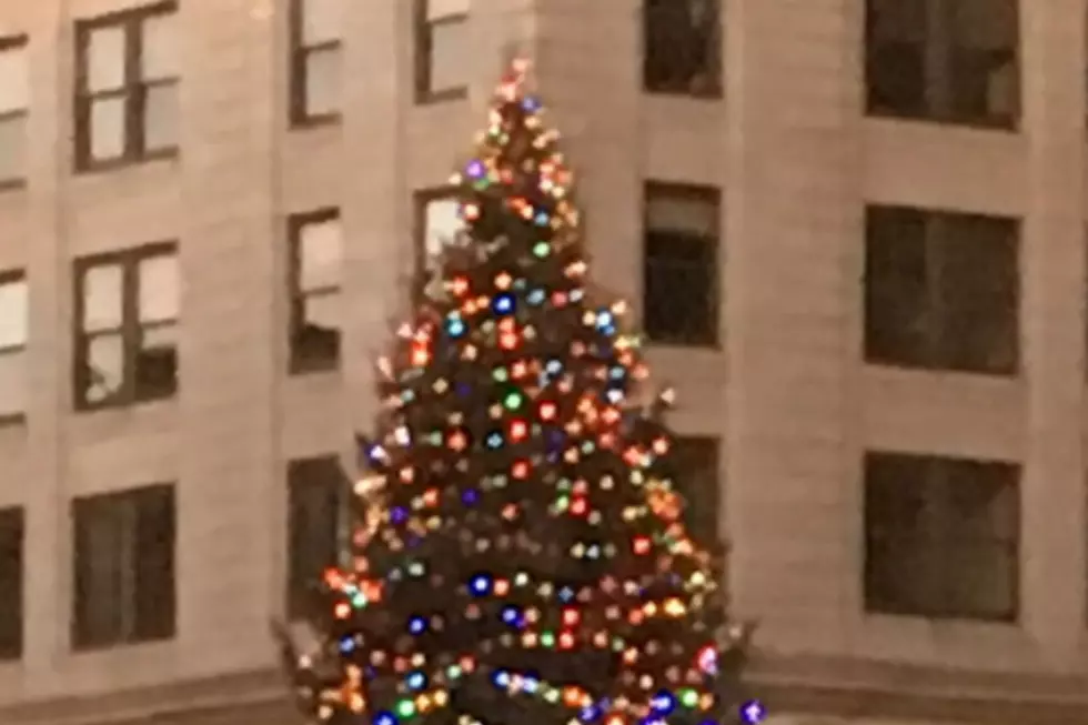 Hey Portland! Love Ya, But Your Holiday Tree is Messed Up