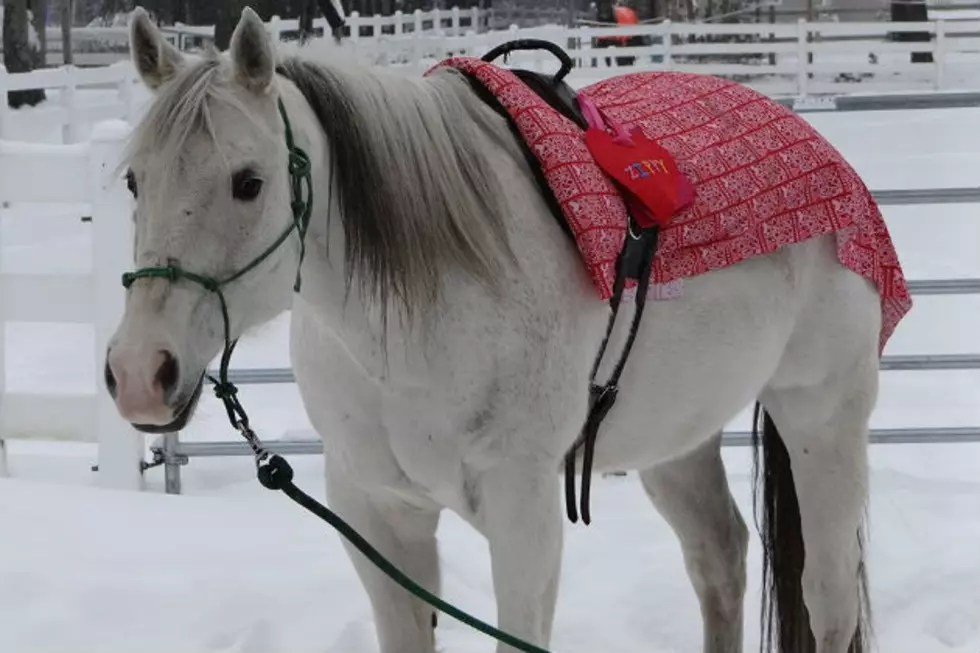 Take Your Valentine On A Pony Ride This Year