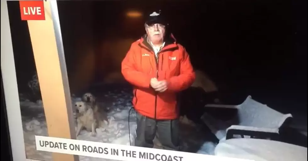 Don Carrigan’s Dogs Got Frisky Last Night Live on NEWSCENTERMaine