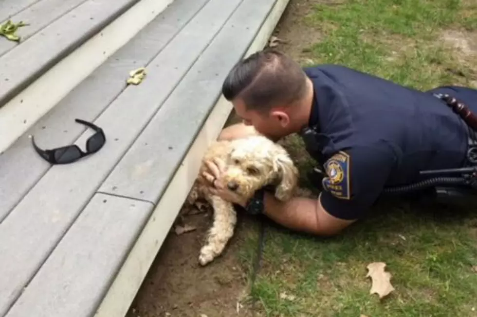 Falmouth Police Officer Rescues Dog Trapped Under Deck