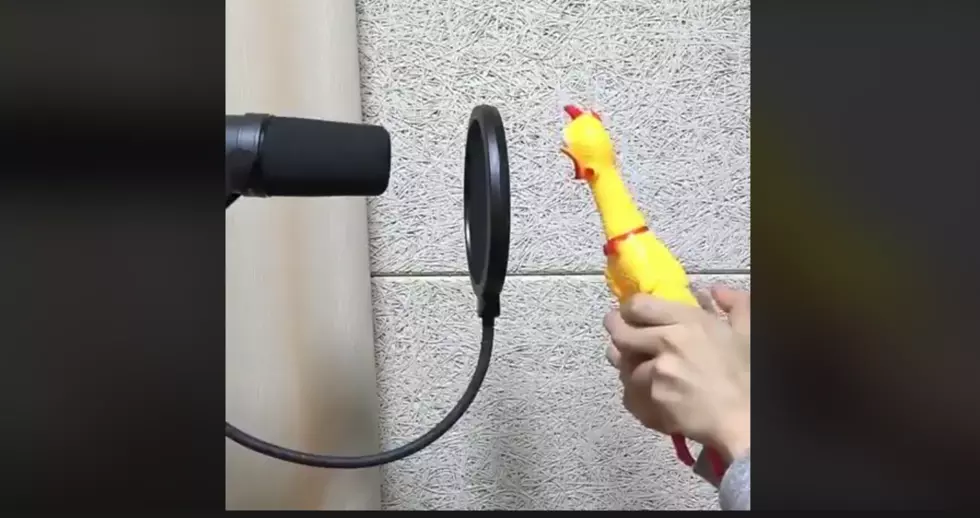 Listen to Camila’s ‘Havana’ Played to Perfection on a Yellow Rubber Chicken