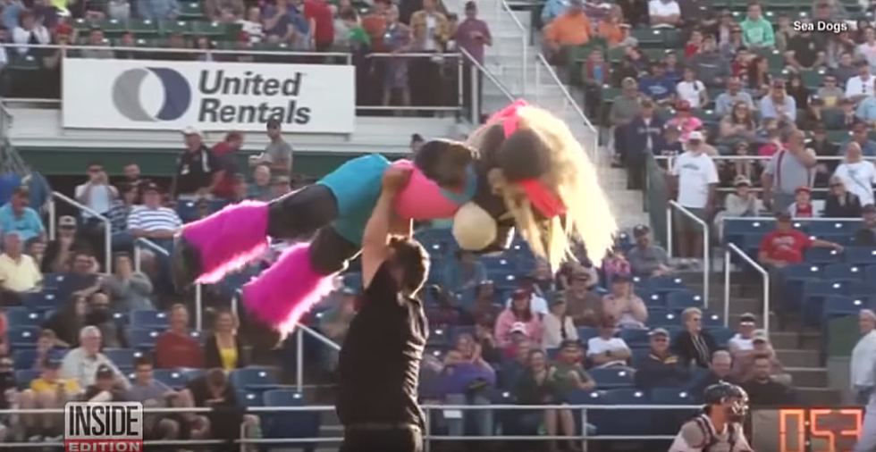 Slugger The Sea Dog Goes Viral With Dance Routine [VIDEO]