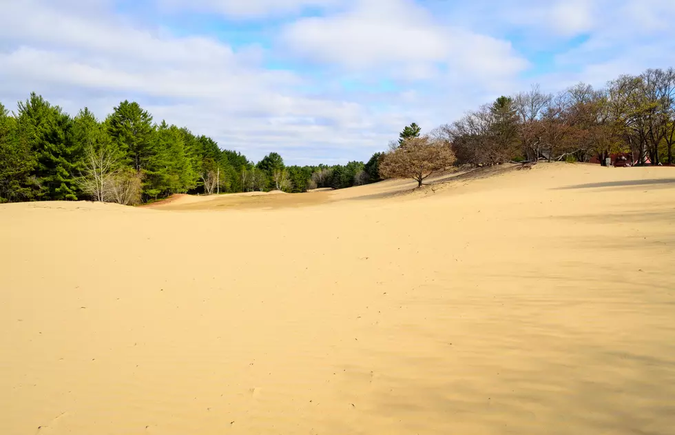 Freeport's Famous Desert of Maine Is Up for Sale
