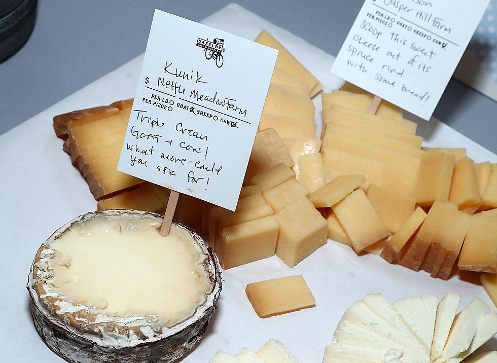 The Maine Cheese Festival Is Happening This Sunday In Freeport