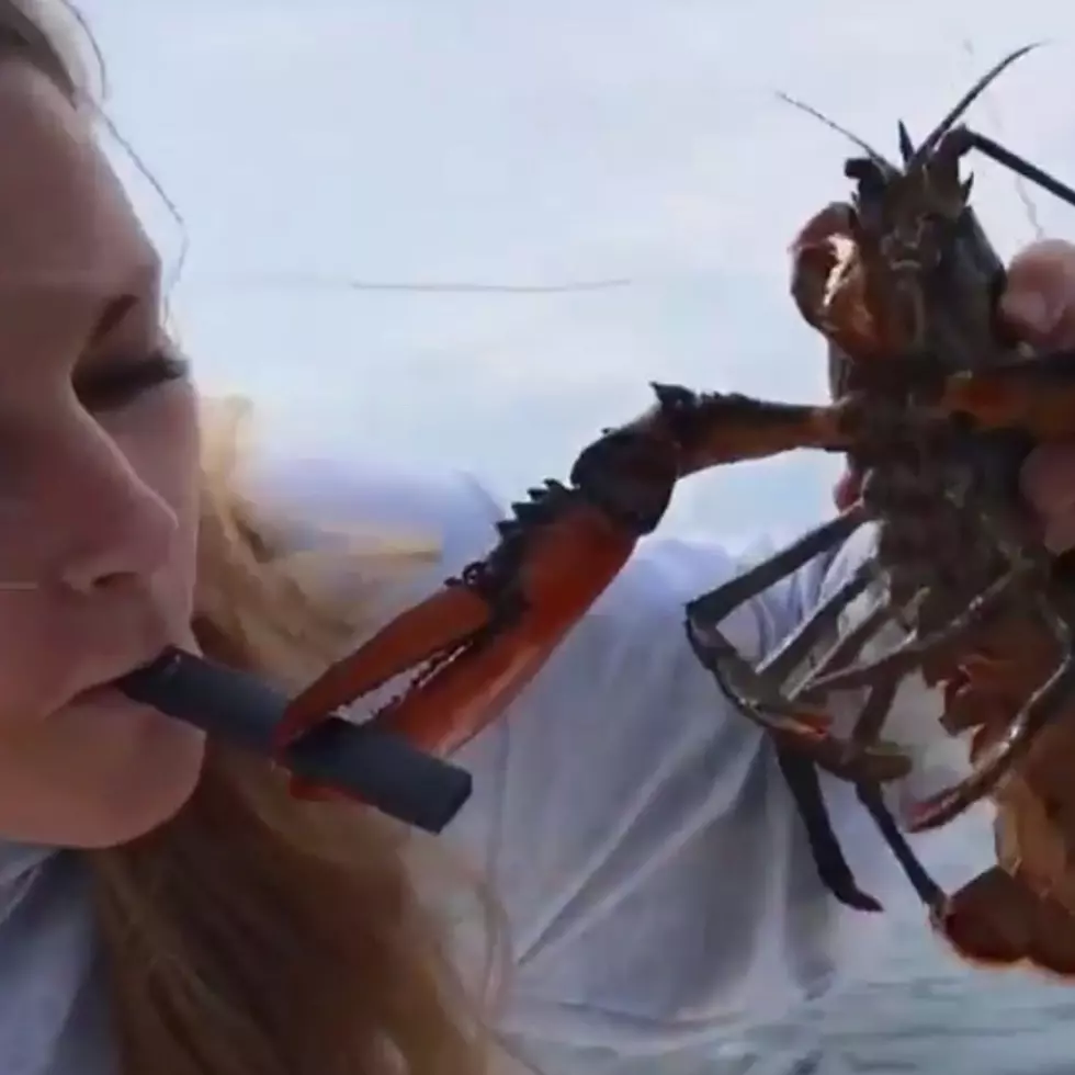 Baked or Boiled? Lobster Scores Points for Vaping Assist in Viral Video
