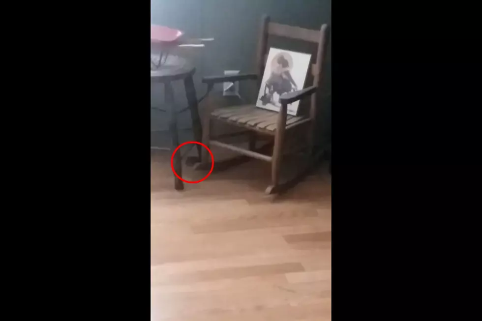 Watch a Woman From Oxford Completely Freak Out Over a Mouse