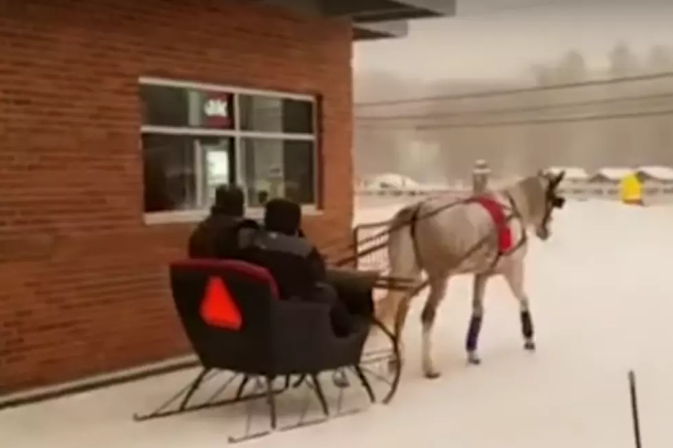 WATCH: One Horse Open Sleigh Uses Drive-Thru at Maine McDonald’s
