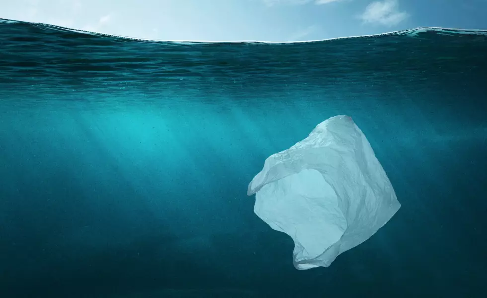 Good Idea/Bad Idea? Maine Could Ban Plastic Bags Statewide This Year