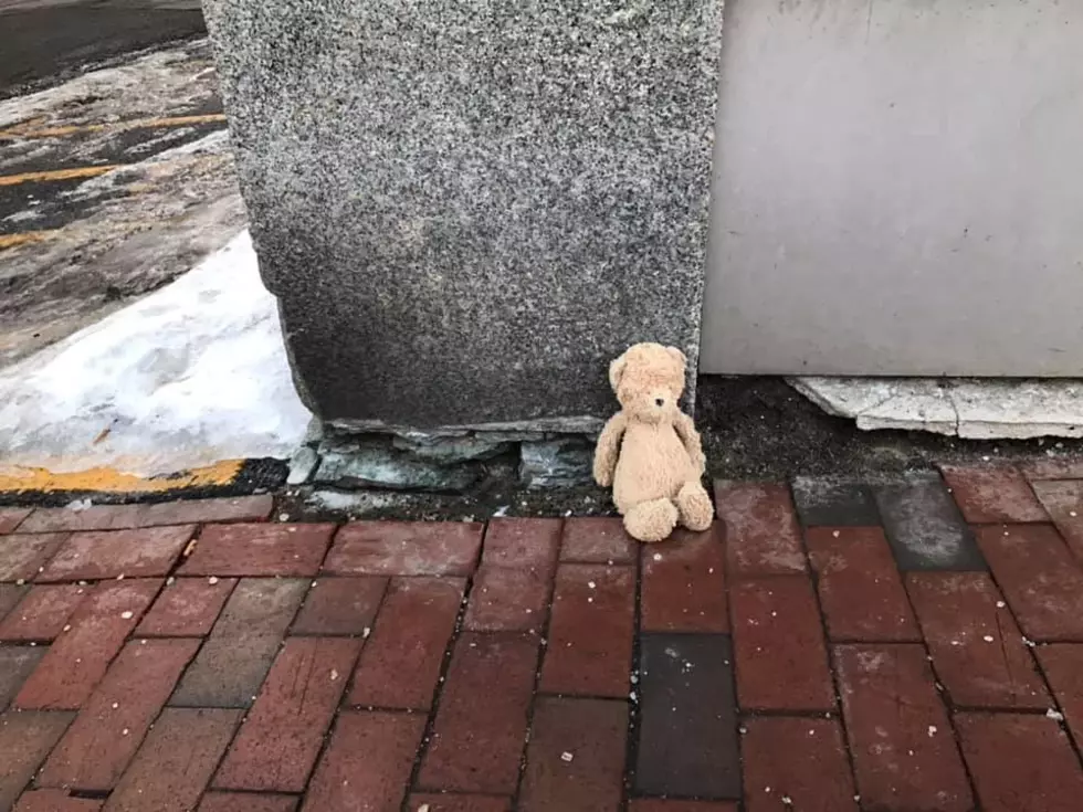 Lost Teddy Bear on the Streets of Portland Looking For Owner