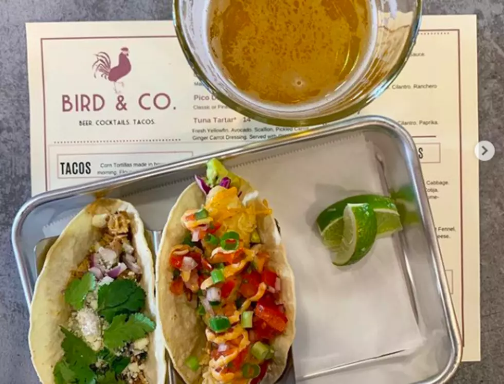 Bird & Co. Brings Beer, Cocktails and Tacos to Woodfords Corner
