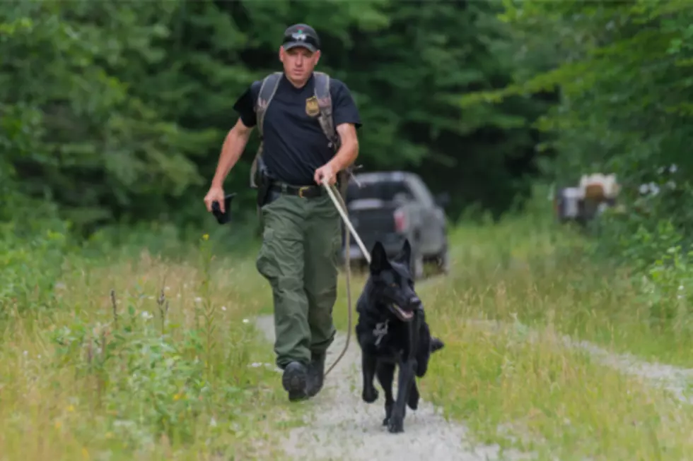 How to Spend the Day with the Maine Warden Service K-9 Team