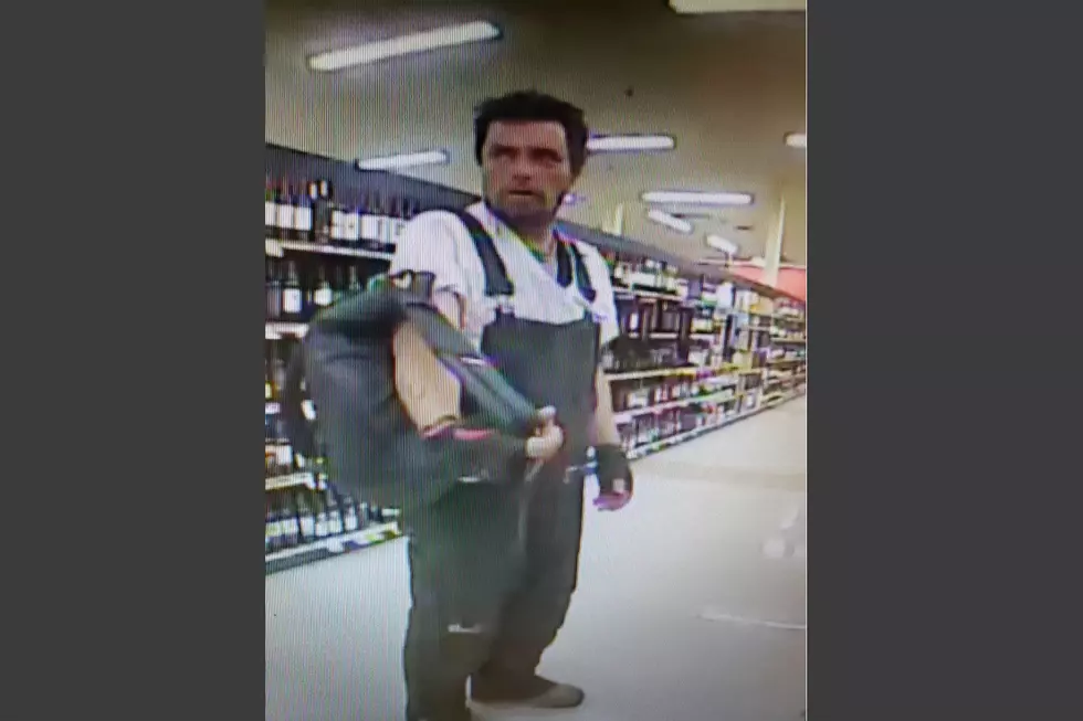 Wolverine Lookalike Wanted For Booze Theft at Auburn Hannaford