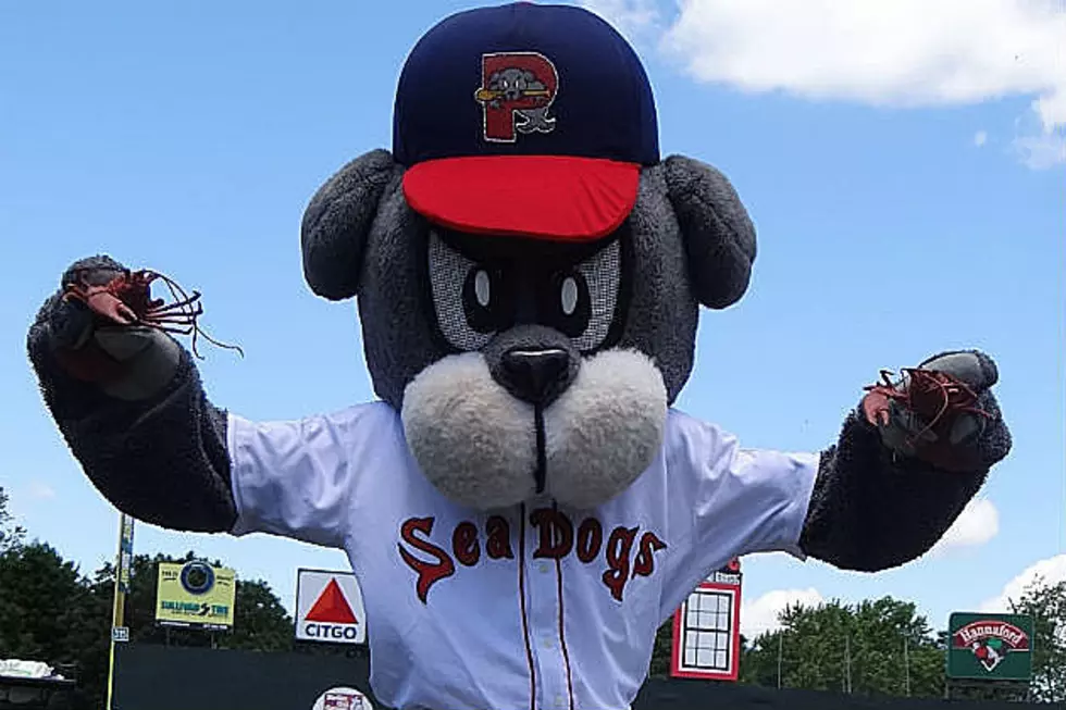 How to Support the Portland Sea Dogs 2020 Season