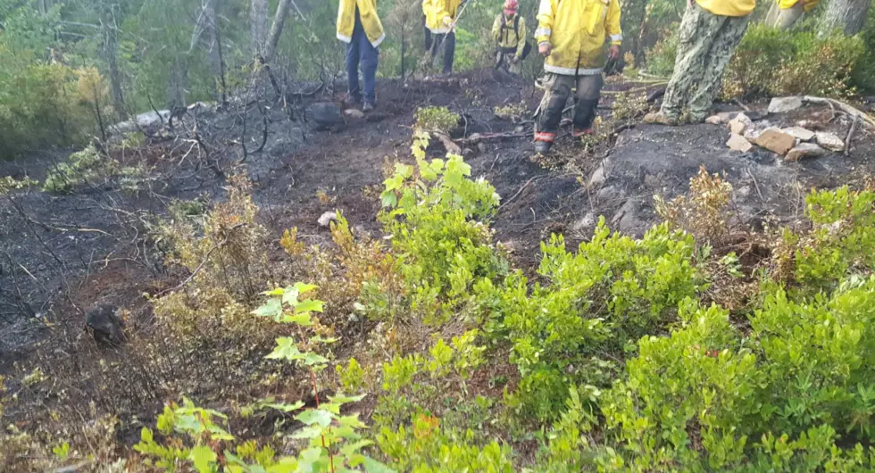 Illegal Campfire Spreads in Acadia, Damages Site and Evacuates Ca