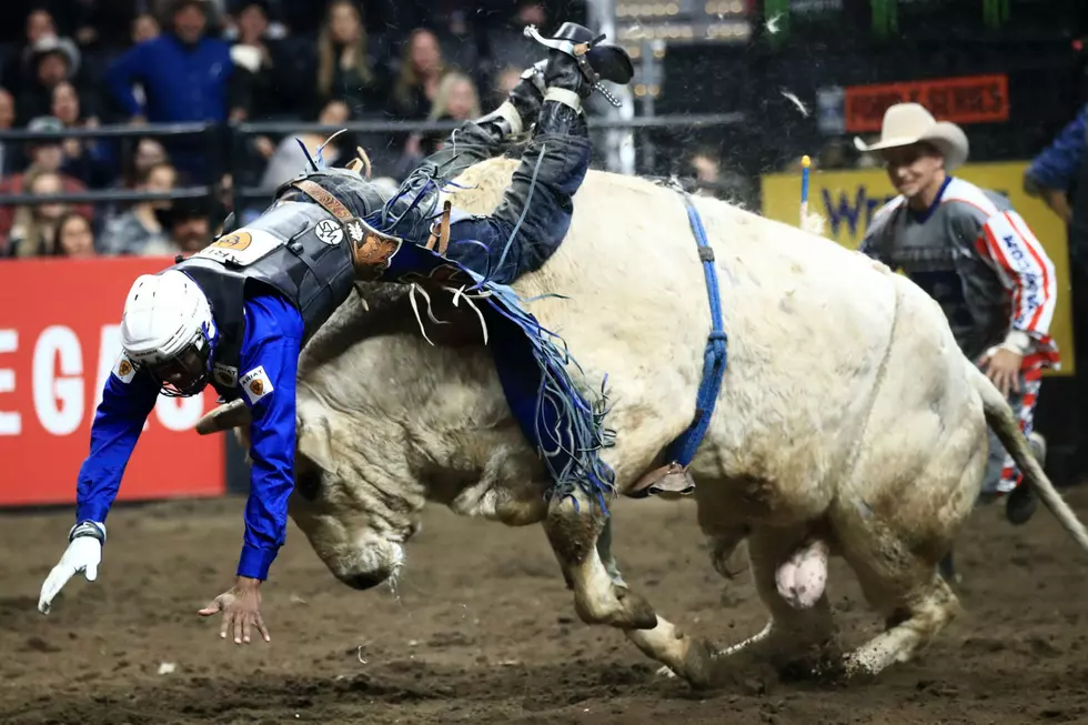 Professional Bull Riders Coming to Portland