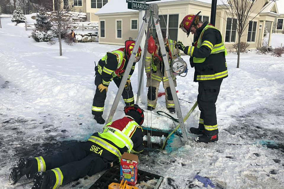 Dog Trapped in Storm Drain Is Rescued in Falmouth