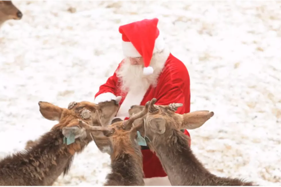 The North Pole Vet Clears Reindeer to Fly With Santa