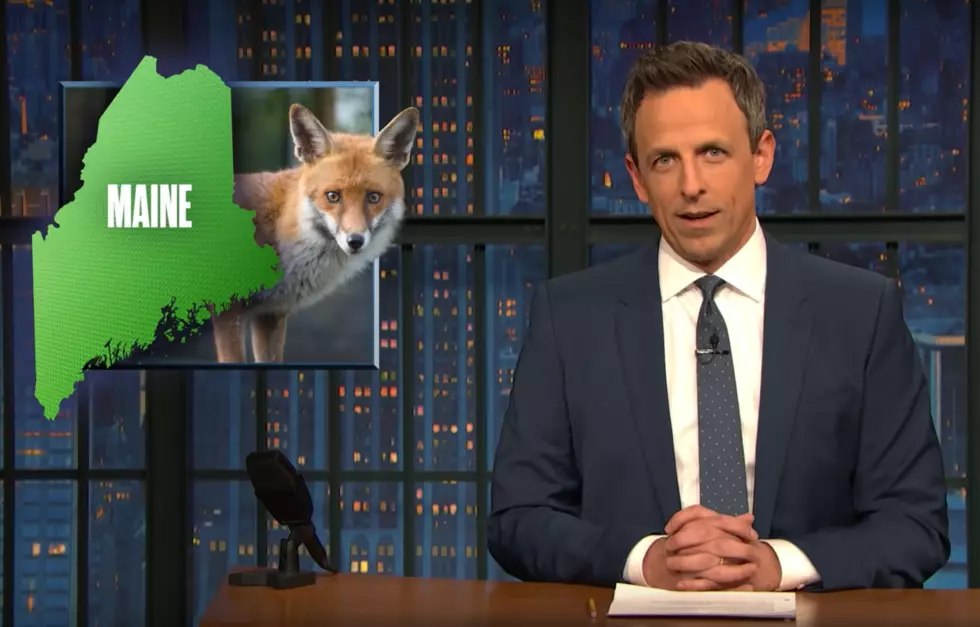 Maine Man Attacked By Foxes Twice Made Seth Meyers’ Monologue