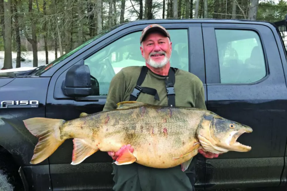 Giant Trout Caught in NH Smashes Old Record for New England