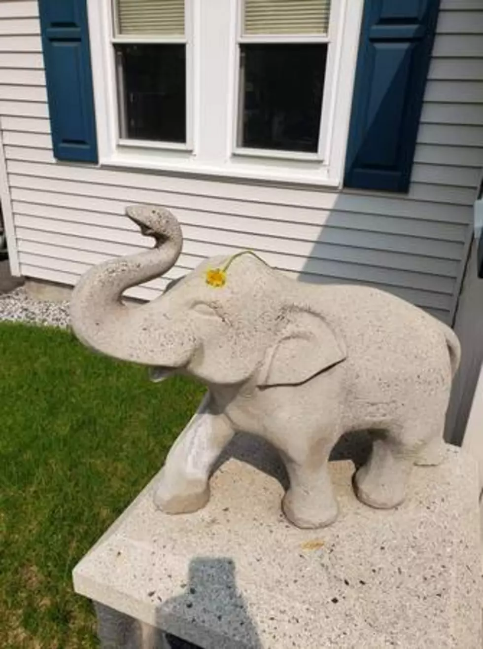 Large Concrete Elephant Stolen In Brunswick