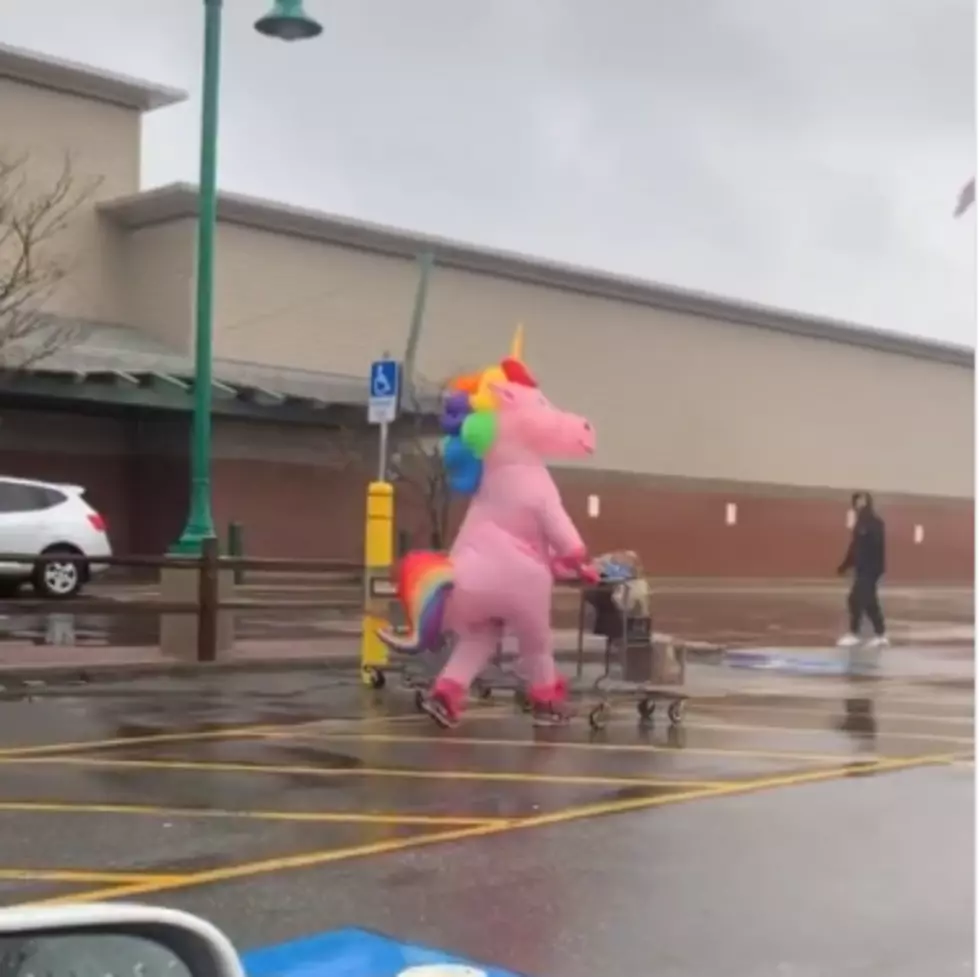 Unicorn With Booty Shopping at Portland Hannaford