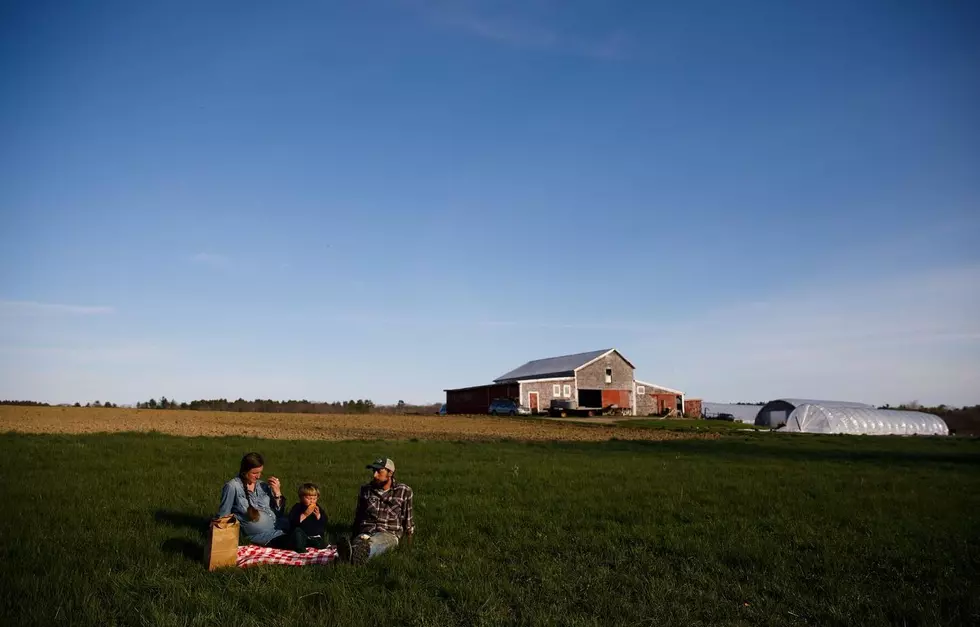 Picnic on The Rolling Pastures of This Maine Farm This Weekend