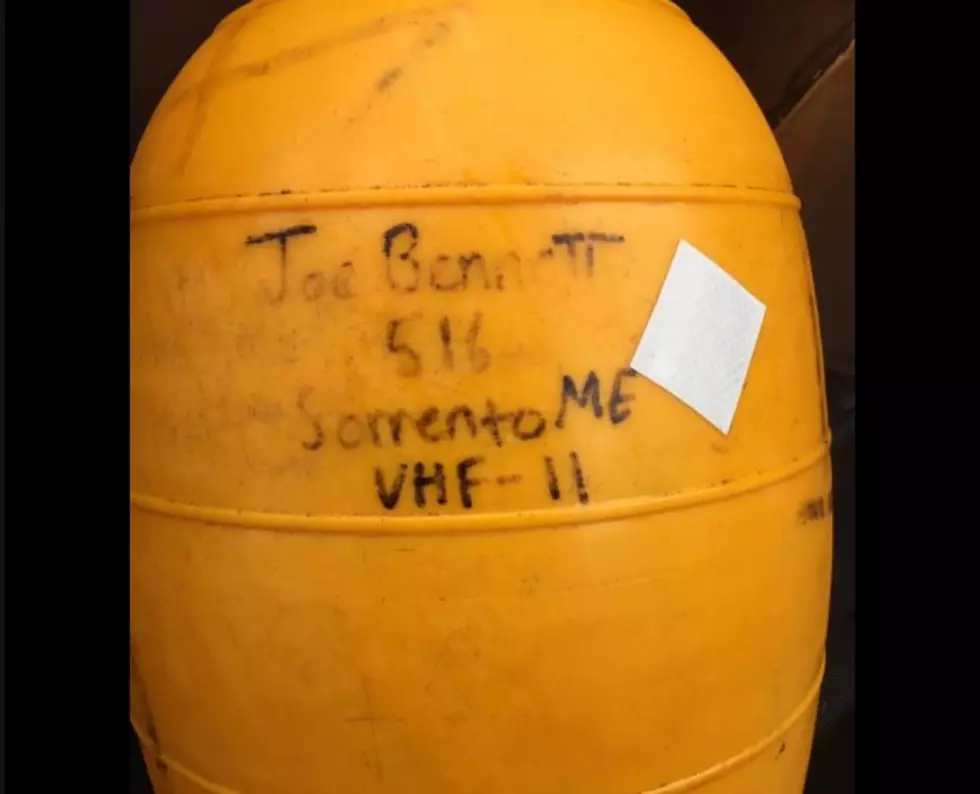 Buoy Travels from Downeast Maine to Scotland