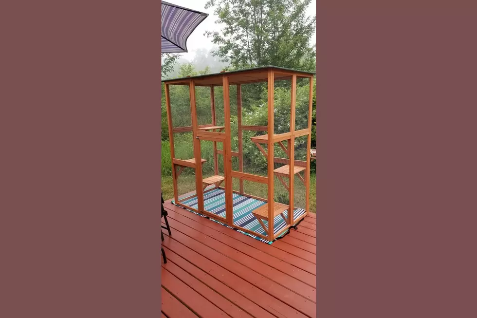 The ‘Catio’ Is a Real Thing and My Friend in Rockland Built One