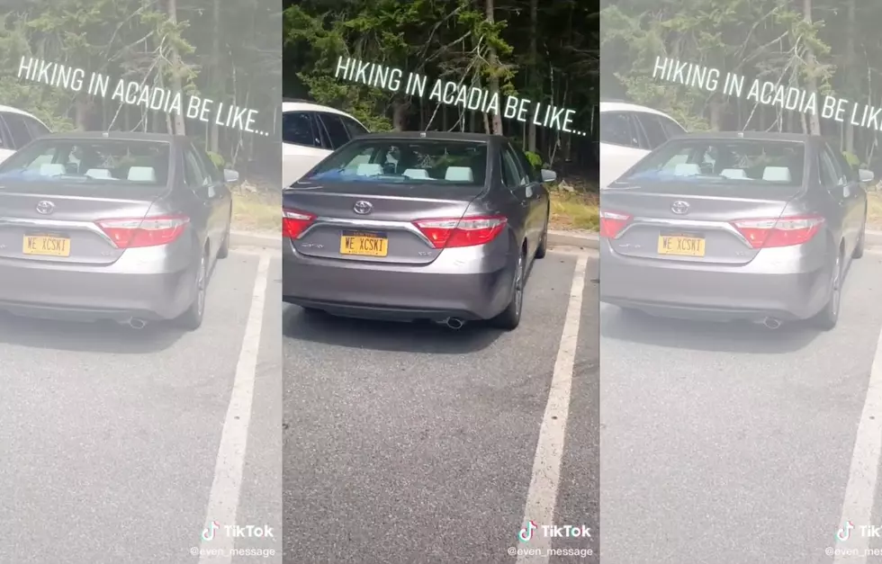 Acadia TikTok Sums Up A Big Mood For Tourism During COVID [NSFW]