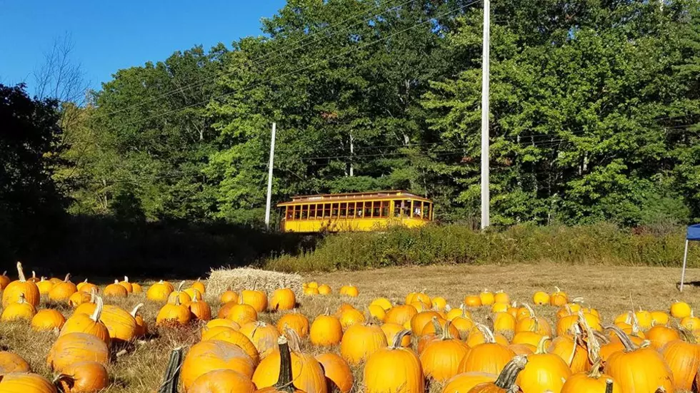 Spend Your Weekend Taking a Trolley to a Pumpkin Patch in Maine