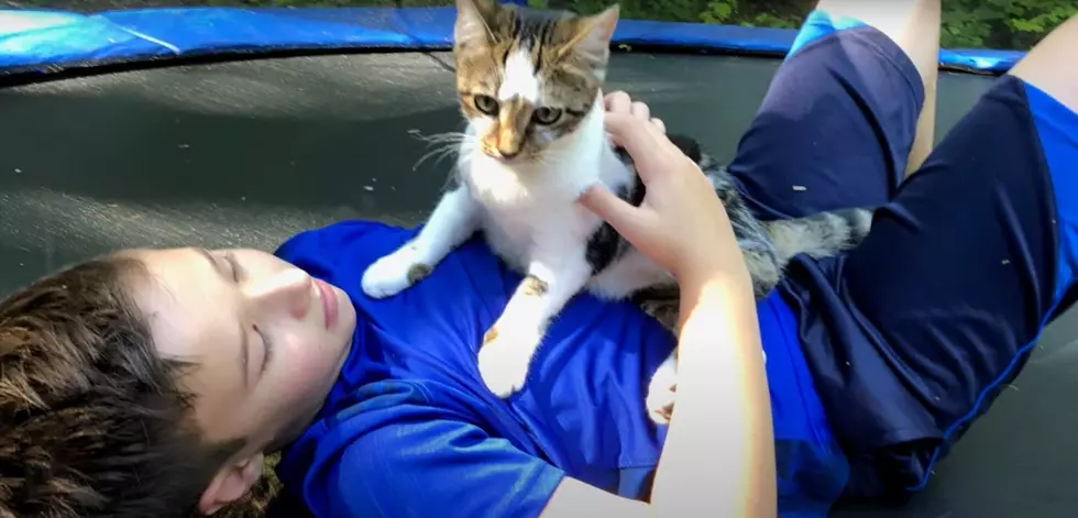 Falmouth Teen Raising Money For Animal Shelter With Help From Trampoline