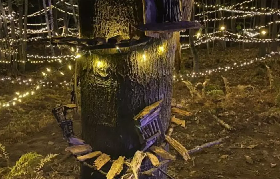 Experience Maine Farm’s Whimsical Light-Up Folklore Fall Trail