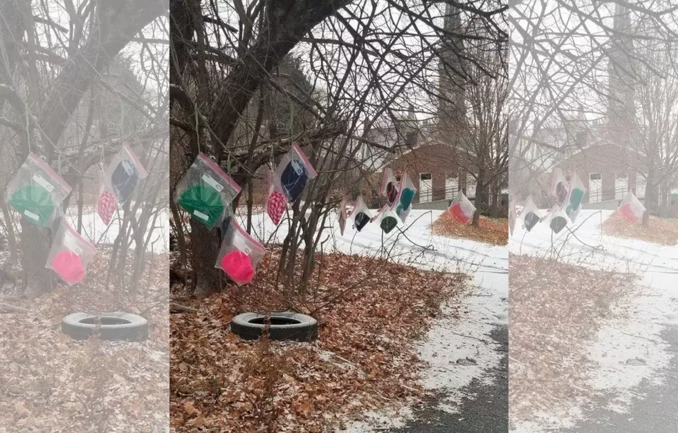 This Hat Tree in Maine Will Give You Hope This Holiday Season