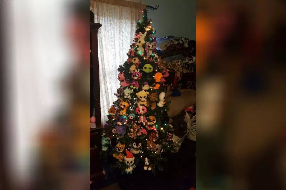 These 5 Mainers Have Surprisingly Unique Christmas Trees
