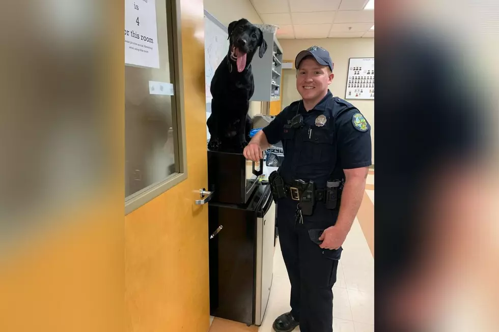 Bangor Police K-9 Finds Meth Hidden in a Private Place