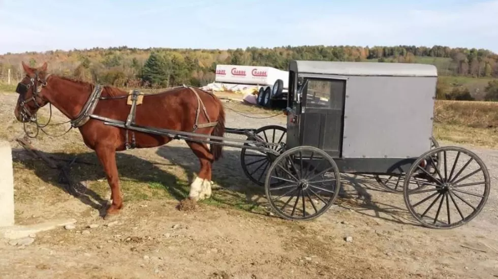 Have You Been to the Amish Community Market in Unity Maine?
