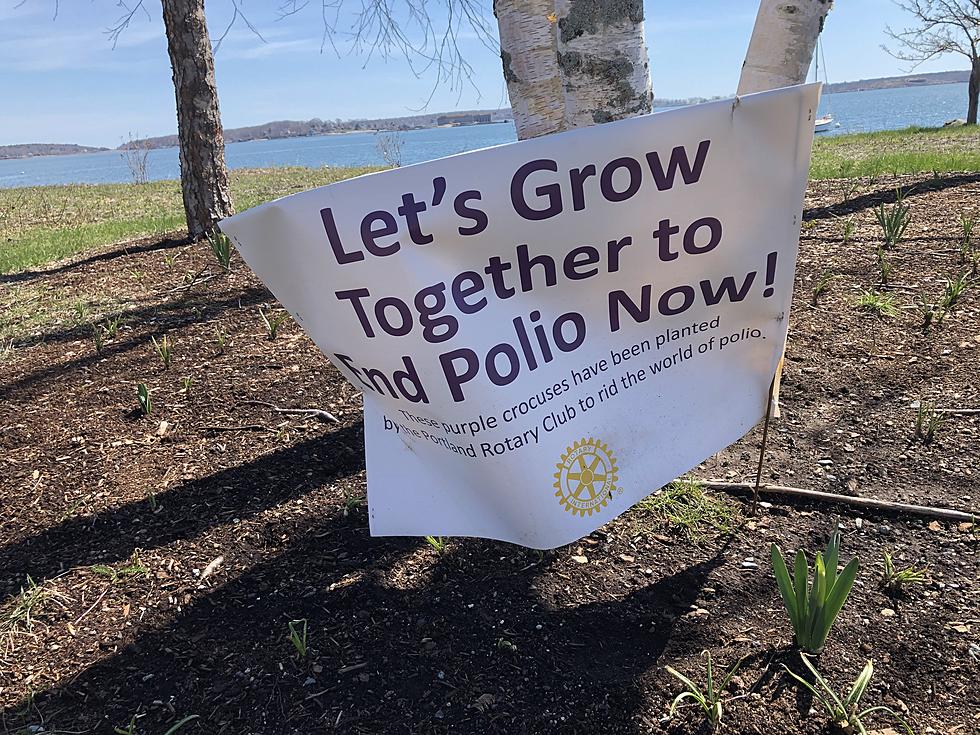 This Sign Stopped Me in My Tracks - Polio is Still Around?