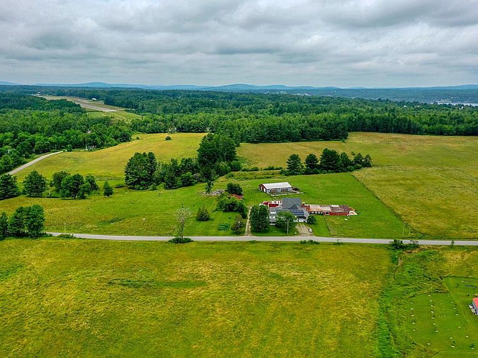 Farmhouse For Sale in Belfast Lives Forever as a Painting in NYC 