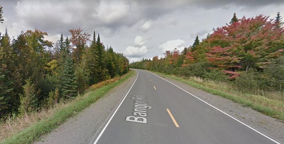 Holy Cow: The Route I Take to Camp in Aroostook County Is Super Haunted