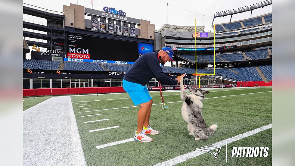 Did You Know The Patriots Ground Crew is a Mainer and His Dog