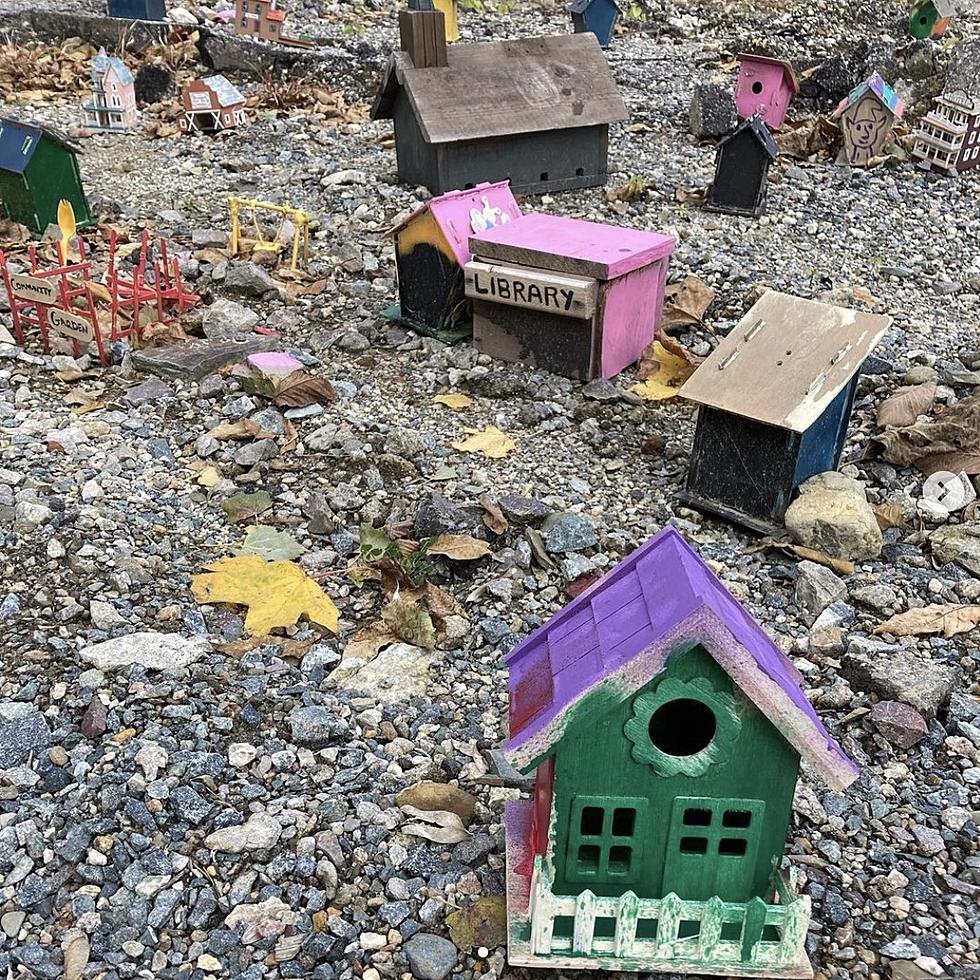 See the Adorable Mini Community for Elves Created by This 8-Year-Old New England Boy