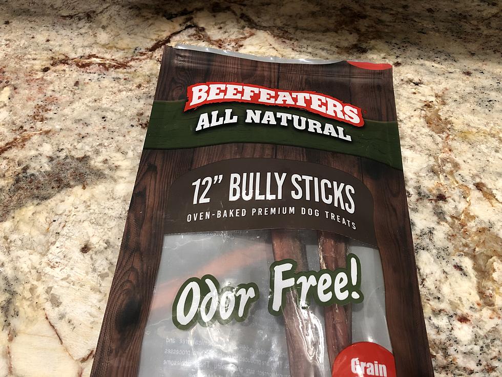 Am I The Only Person Who Had No Idea What a Bully Stick Was Made Of?